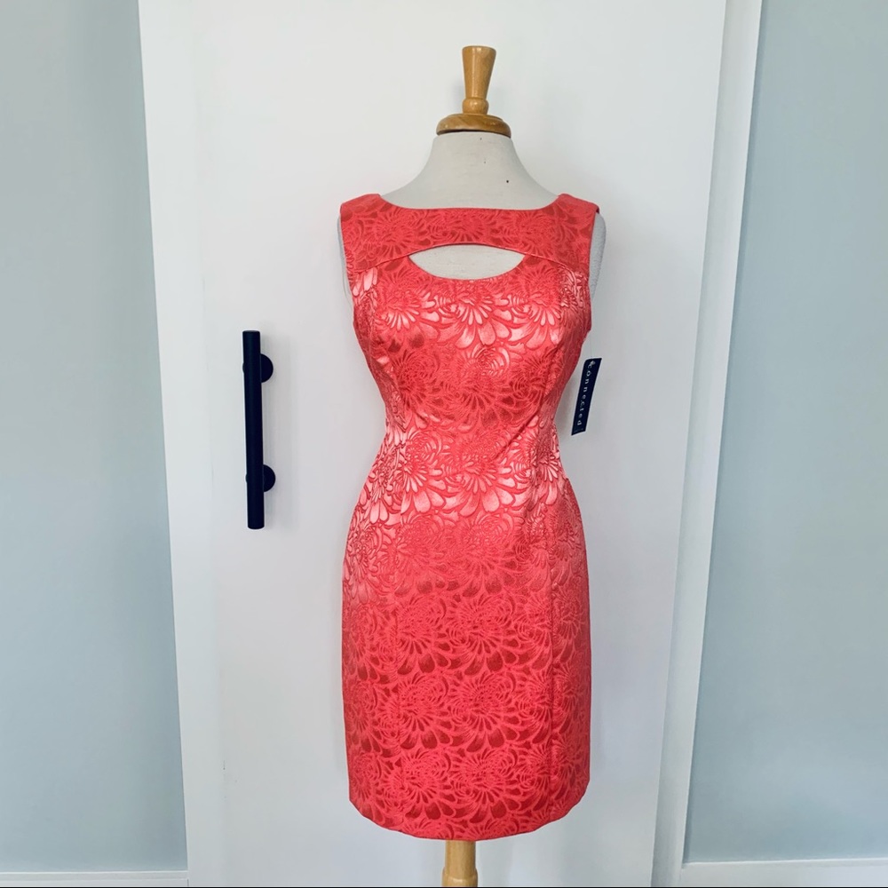 NWT Connected Pink Floral Sleeveless Shift Dress with Chest Cut Off Size 8P